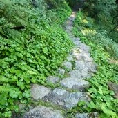 stufen treppe meraner hoehenweg bei longfall spronsertal