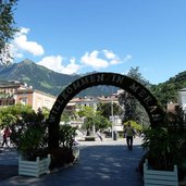 meran kurpromenade blumen