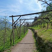 brandis waalweg durch weinberg