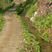 oberer kuenser waalweg