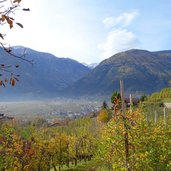 spaetherbst vinschgau bei goldrain