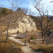 weg b von goldrain nach st martin im kofel herbst