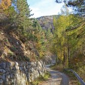 weg b von goldrain nach st martin im kofel am sonnenberg herbst