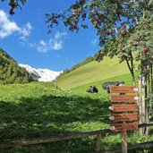 schnals pfossental bei vorderkaser