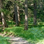 wasserfallweg st felix tret waldweg