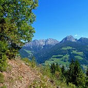 weg durch wald richtung gfeis longfall dahinter hirzergebiet