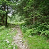 weg proveis nach stierbergalm