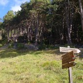 weg von ratschill nach st martin im kofel am sonnenberg herbst