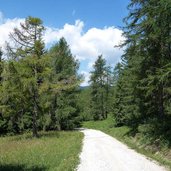 weg von st felix klammeben nach tretsee