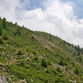 weg nr stierbergalm mandlspitz proveis