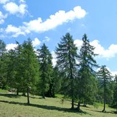 weg von st felix klammeben nach tretsee laerchenwiesen