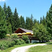 st felix gasthof waldruhe bei tretsee