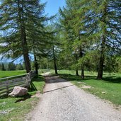 abfahrt moschwaldalm nach hafling weg