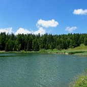 st felix see felixer weiher tretsee schilf