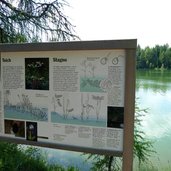 st felix see felixer weiher tretsee infotafel