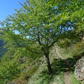 meraner hoehenweg schnalstal