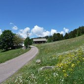 wiesen bei hafling oberdorf