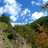 tal des montferter baches