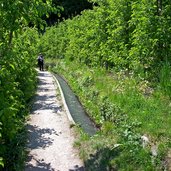 waal in obstgarten