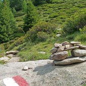 weg von tallner alm nach hinteregg alm steine