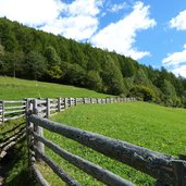 weg ueber wiese bei katharinaberg