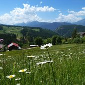 wiesen bei hafling dorf