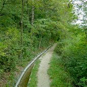 latschanderwaal nordwestlich von latsch