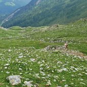 abstieg weg zur stierbergalm