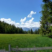 wiesen bei leadneralm und gasthof waldruhe