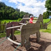 haflinger erlebnisweg pferdekutsche