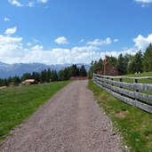 die wurzeralm mit forstweg