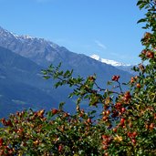 blick auf noerderberg von hochforch aus