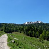 naturnser alm letzter wegabschnitt