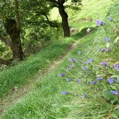 mhw zwischen magdfeld und vernuer