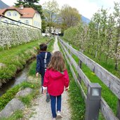 tschermser muehlbachweg weg personen blute