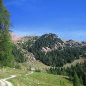 wanderung laugen forstweg