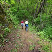 hinzlweg tabland waldweg