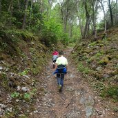 hinzlweg tabland waldweg