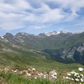 blick von saxner richtung stubaier alpen