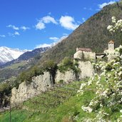 Burggrafenamt Dorf Tirol Fruehling Schloss Tirol