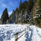 forstweg laugenalm winter