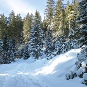 forstweg laugenalm winter