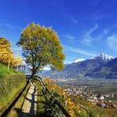 tschermser waalweg herbst