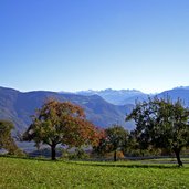 grissian dolomitenblick