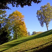 sirmian herbstwald wiesen