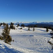 anhoehen bei baumgrenze sicht dolomiten rosengarten