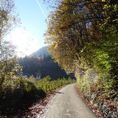 lebenbergstrasse herbst bei tscherms