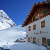 lazins alm winter