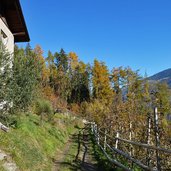 riffianer waalweg beginn wald