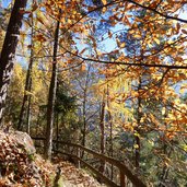 waalweg riffian herbstwald